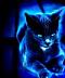 blue-cat's Avatar